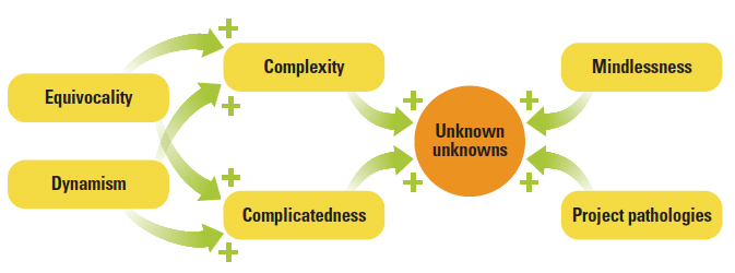 Factors Contributing to Unknown Unknowns