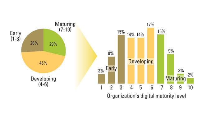 Rating an Organization’s Digital Maturity