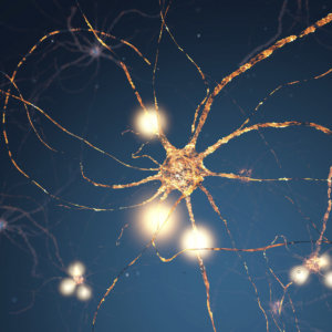 Knight Neurons Neural Network