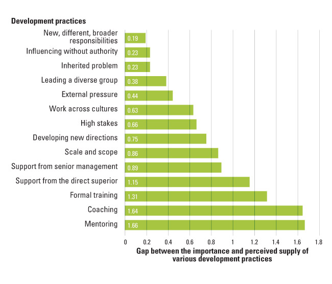 Gaps in Development Practices