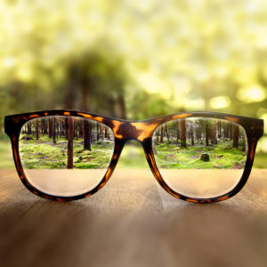 Forest For the Trees Avoid Analytics Myopia Nearsighted