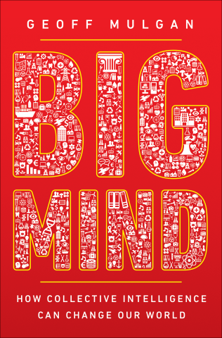Big Mind Book Cover Jacket