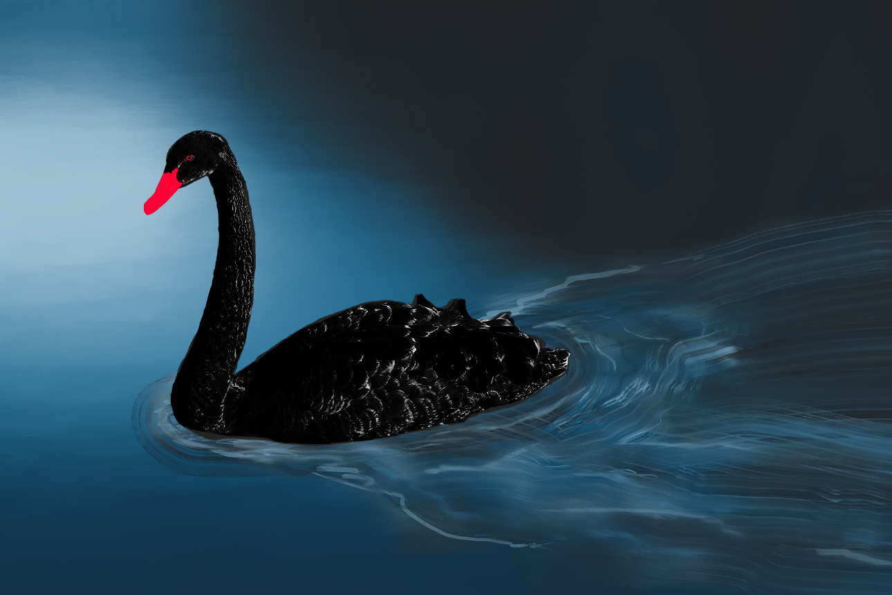 Is the COVID-19 a Black Swan the New Normal?