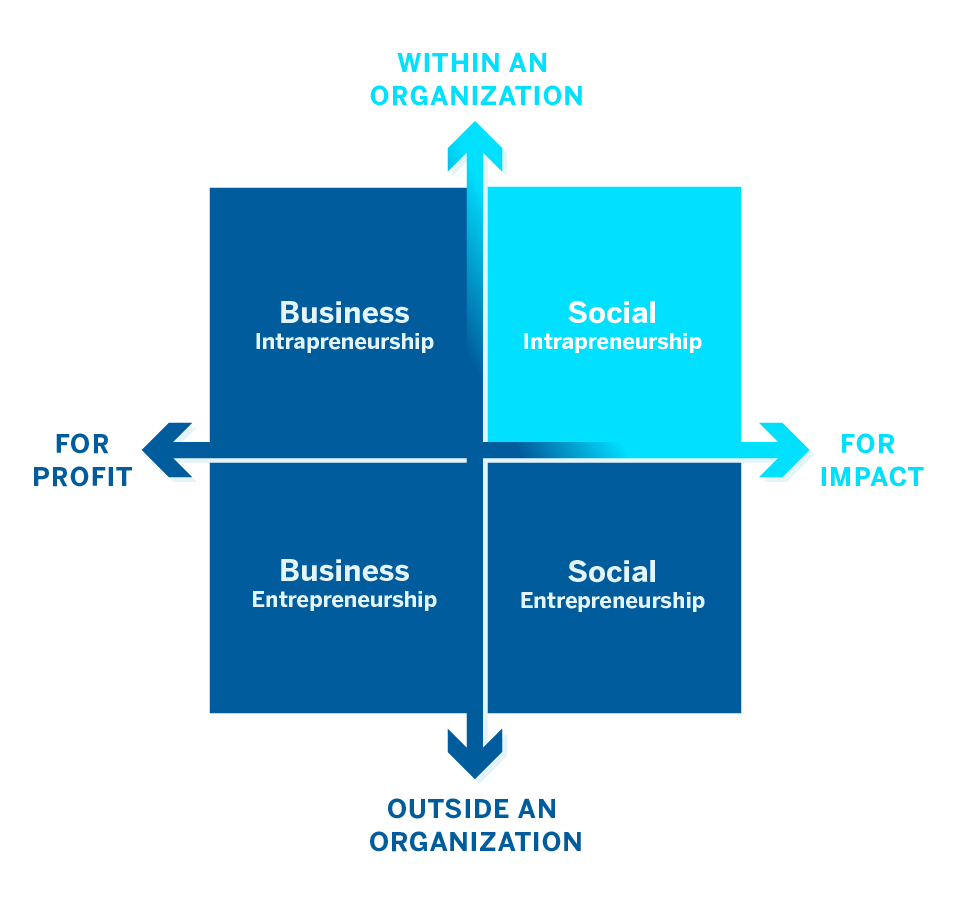 The Social Intrapreneurship Model